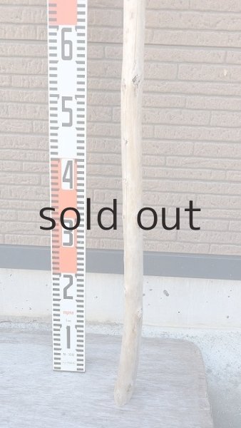 画像6: 棒流木・長尺 (6)