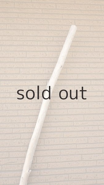 画像5: 棒流木・長尺 (5)