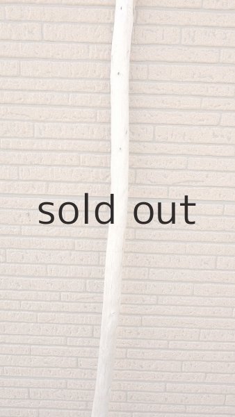 画像3: 棒流木・長尺 (3)