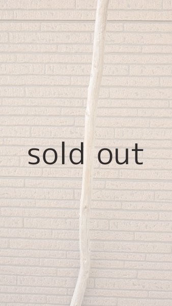 画像4: 棒流木・長尺 (4)