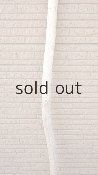 画像3: 棒流木・長尺 (3)