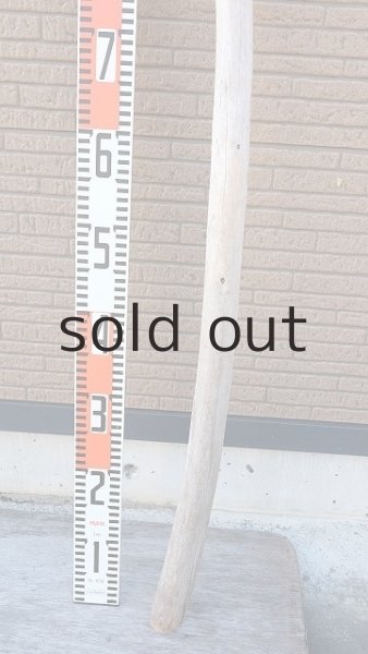 画像6: 棒流木・長尺 (6)