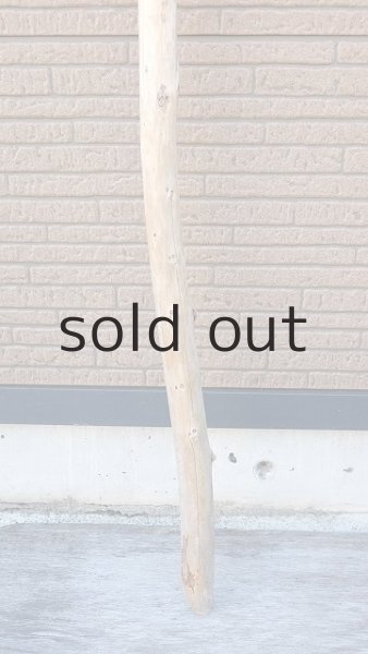 画像2: 棒流木・長尺 (2)