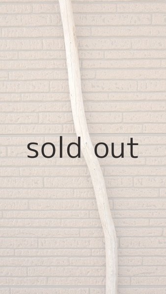 画像4: 棒流木・長尺 (4)