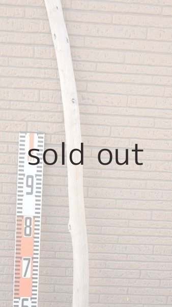 画像7: 棒流木・長尺 (7)