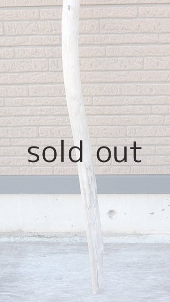 画像2: 棒流木・長尺 (2)