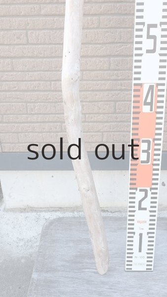 画像6: 棒流木・長尺 (6)