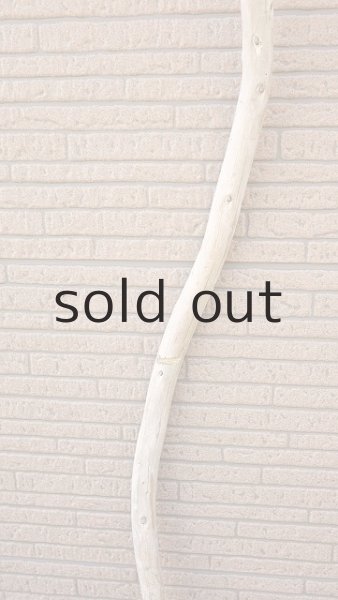 画像3: 棒流木・長尺 (3)