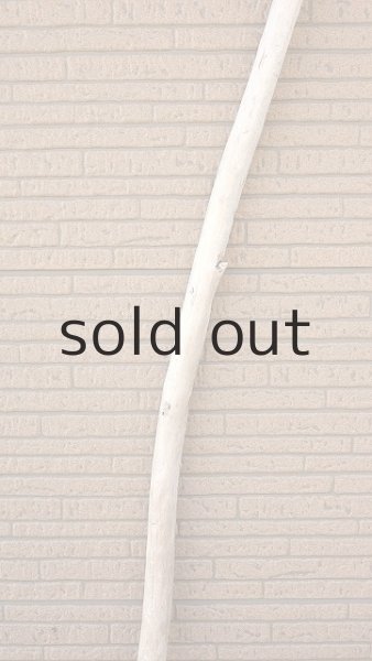 画像4: 棒流木・長尺 (4)