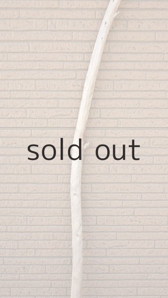 画像4: 棒流木・長尺 (4)