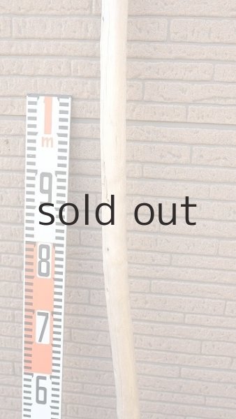 画像7: 棒流木・長尺 (7)