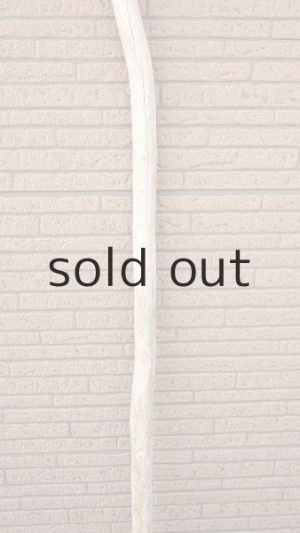 画像3: 棒流木・長尺 (3)