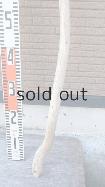 画像6: 棒流木・長尺 (6)