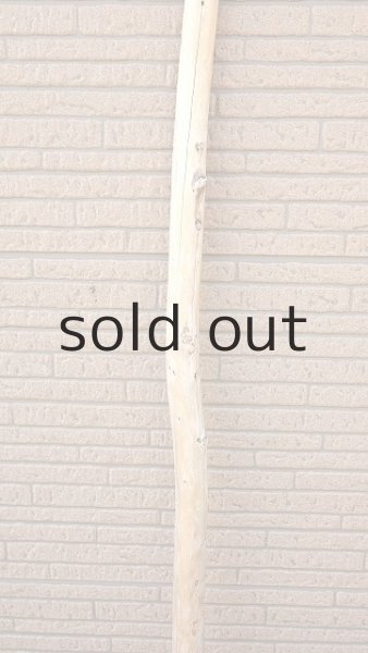 画像3: 棒流木・長尺 (3)