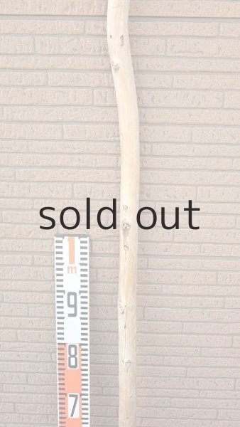 画像7: 棒流木・長尺 (7)