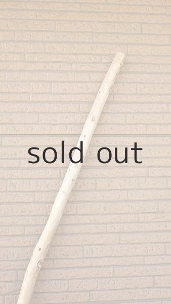 画像5: 棒流木・長尺 (5)