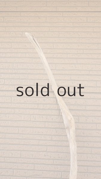 画像5: 幹流木・長尺 (5)