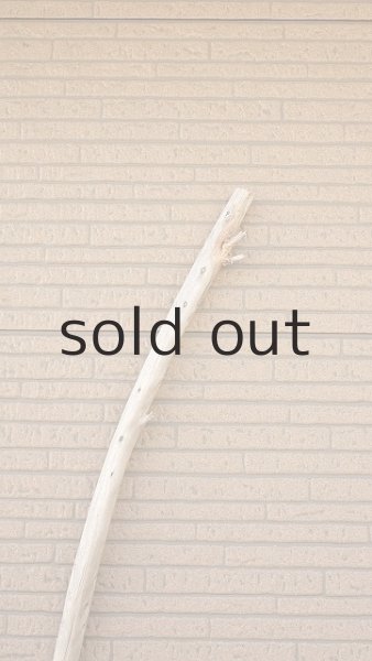 画像5: 棒流木・長尺 (5)