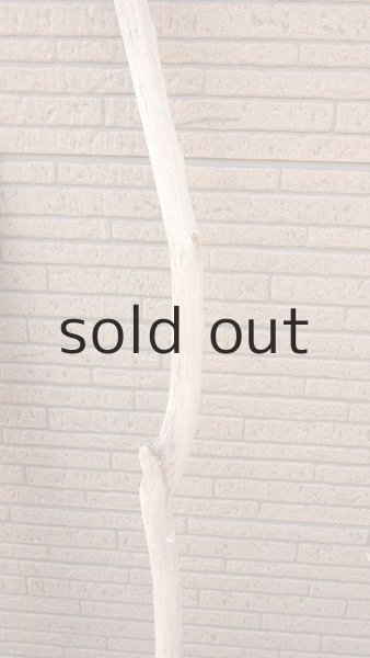 画像7: 幹流木・長尺 (7)