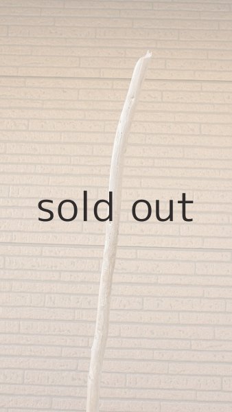 画像5: 棒流木・長尺 (5)