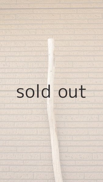 画像5: 棒流木・長尺 (5)