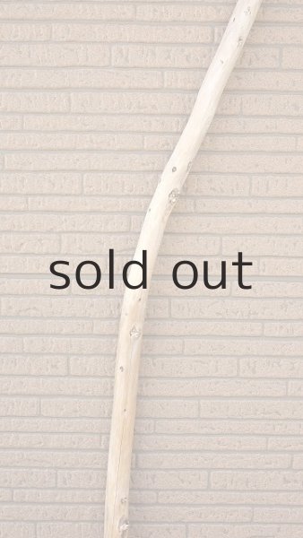 画像4: 棒流木・長尺 (4)