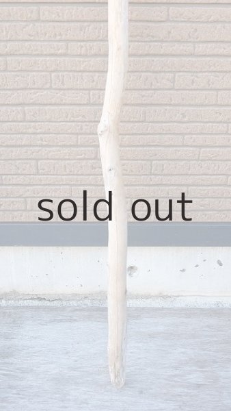 画像2: 棒流木・長尺 (2)