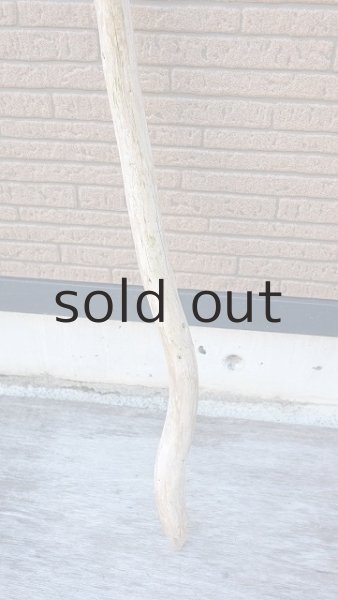 画像2: 棒流木・長尺 (2)