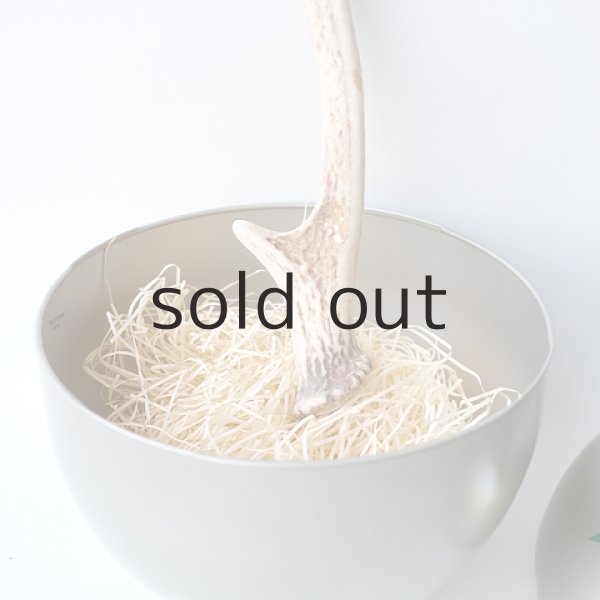 画像2: デコール用二ホンジカの角（小鹿） (2)