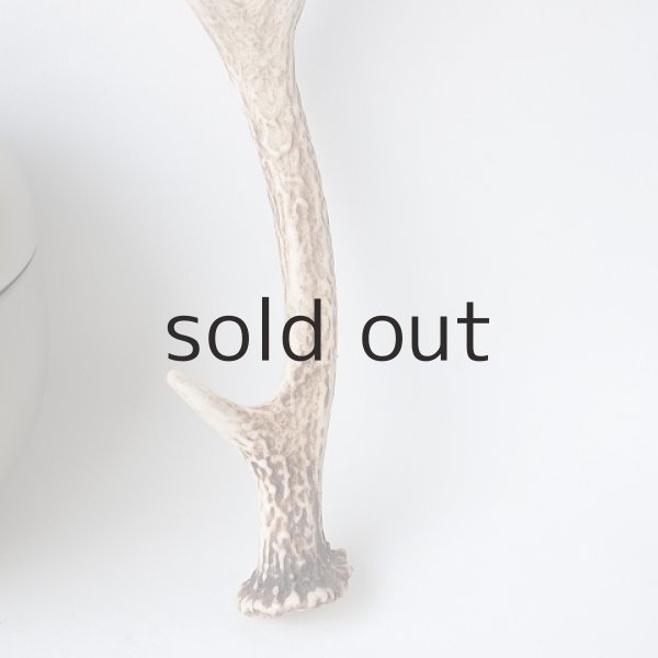 画像2: デコール用二ホンジカの角（小鹿） (2)