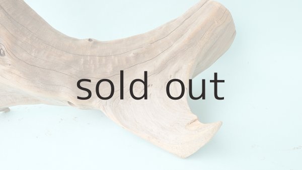 画像4: 流木根（中型） (4)