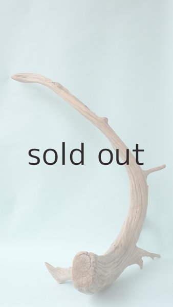 画像10: 流木根（中型） (10)