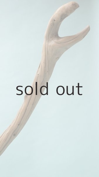 画像7: 流木根（中型） (7)