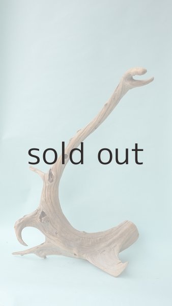 画像3: 流木根（中型） (3)