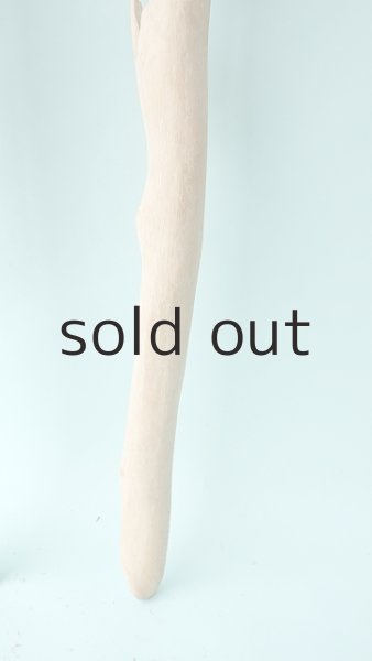 画像6: 幹流木 (6)