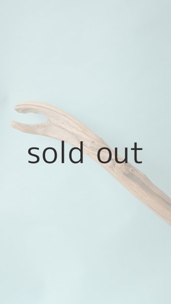 画像13: 流木根（中型） (13)