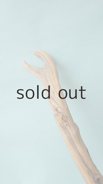 画像15: 流木根（中型） (15)