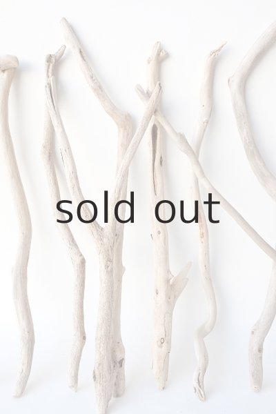 画像5: 小枝流木セット (5)