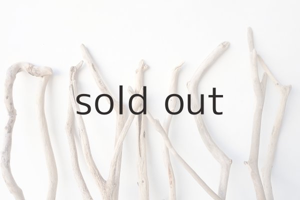 画像3: 小枝流木セット (3)