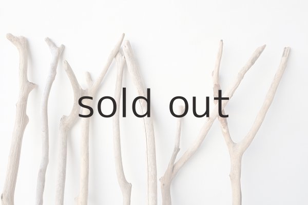 画像3: 小枝流木セット (3)