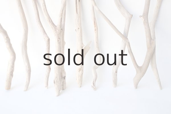 画像2: 小枝流木セット (2)