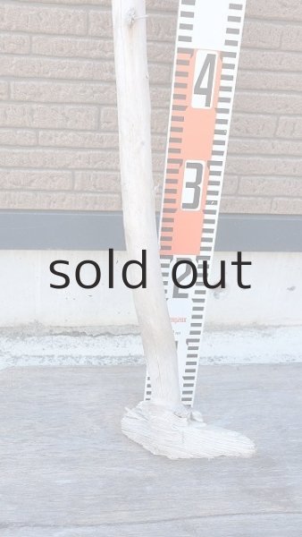 画像6: 棒流木・長尺 (6)