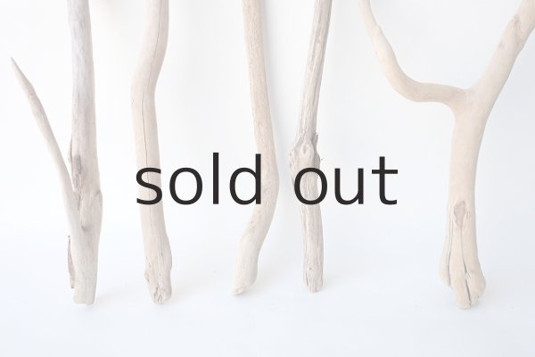 画像2: 小枝流木セット (2)