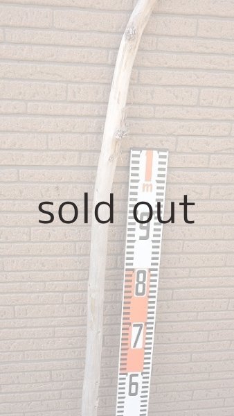 画像7: 棒流木・長尺 (7)