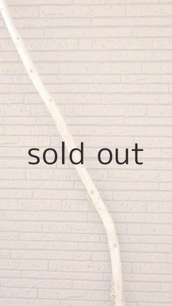 画像4: 棒流木・長尺 (4)