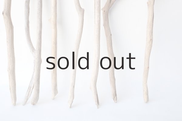 画像2: 小枝流木セット (2)