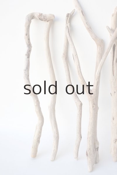 画像4: 小枝流木セット (4)