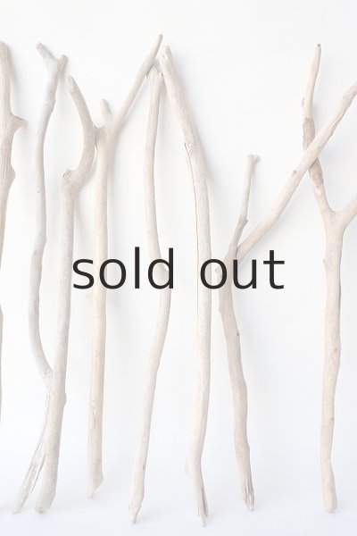 画像5: 小枝流木セット (5)