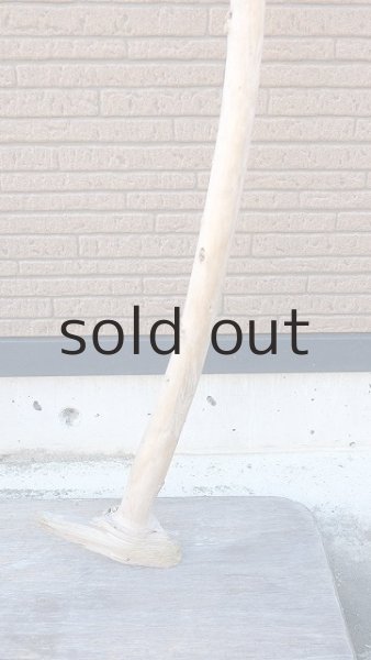 画像2: 棒流木・長尺 (2)