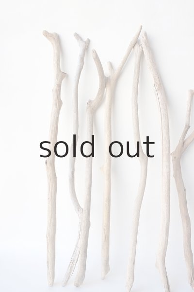 画像4: 小枝流木セット (4)